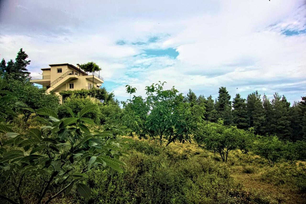 Dream House Capturing The Magic Of Nature Vlachia Kültér fotó