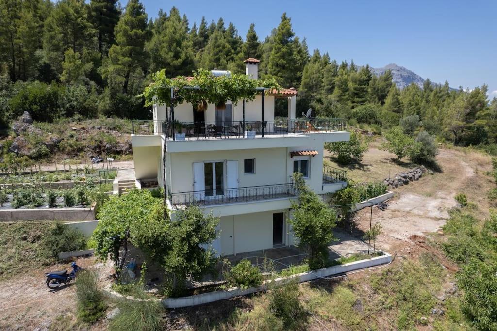 Dream House Capturing The Magic Of Nature Vlachia Kültér fotó