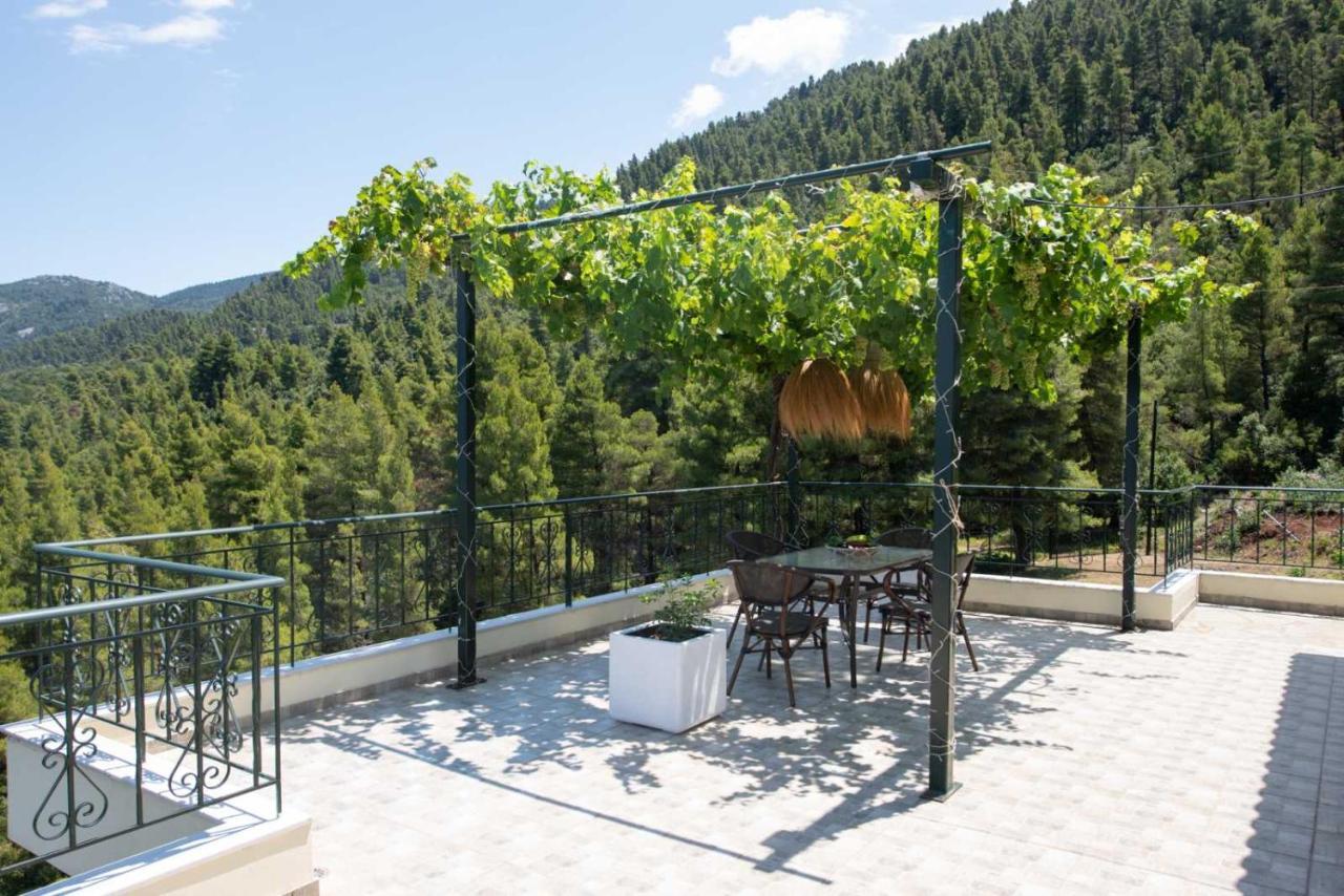Dream House Capturing The Magic Of Nature Vlachia Kültér fotó