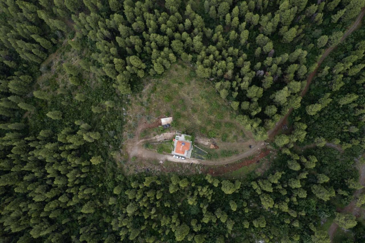 Dream House Capturing The Magic Of Nature Vlachia Kültér fotó